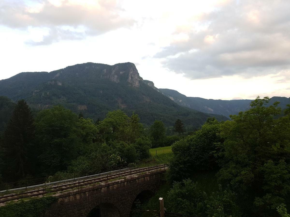 Apartmaji Zupan ゴレンスカ地方 エクステリア 写真