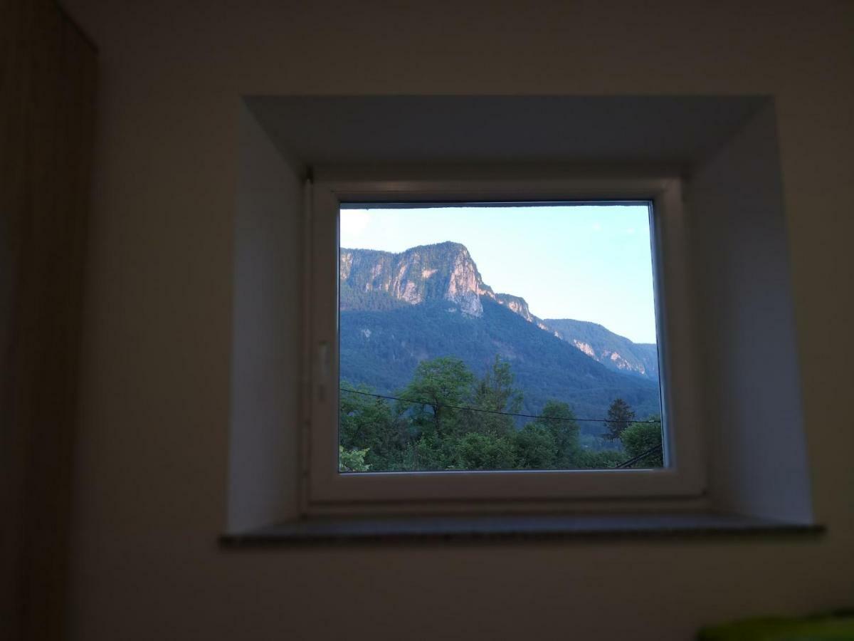 Apartmaji Zupan ゴレンスカ地方 エクステリア 写真